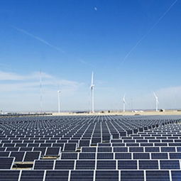 睿晶光伏太陽能與風(fēng)能發(fā)電的招商優(yōu)勢(shì)及聯(lián)系方式